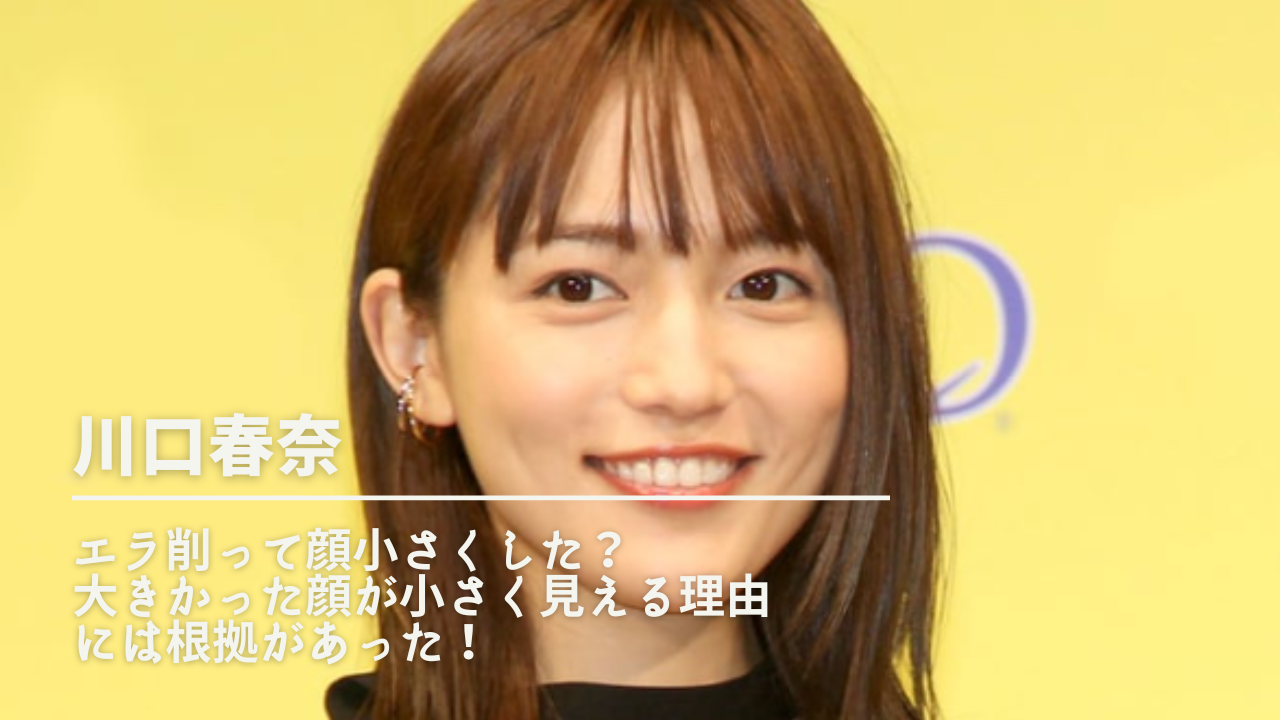 川口春奈はエラ削って顔小さくした説の真相を徹底調査 大きかった顔が小さく見える理由には根拠があった Nn Media